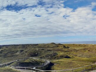 Dünenlandschaft mit Holzsteg und Wanderweg auf Norderney