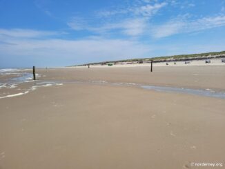 Weiter Sandstrand mit Dünenkette am Nordstrand von Norderney