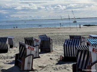 Blau-weiße Strandkörbe am Strand von Norderney