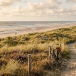Budget-Guide für Sparfüchse – Günstig Urlaub auf Norderney machen Budget-Guide für Sparfüchse – Günstig Urlaub auf Norderney machen