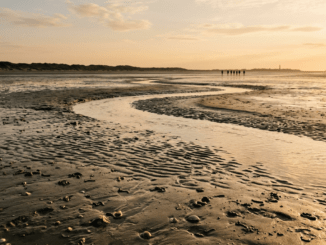 Erleben Sie Wattwanderungen auf Norderney