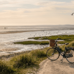 Nachhaltig reisen auf Norderney – Grüne Tipps für bewusste Urlauber Nachhaltig reisen auf Norderney – Grüne Tipps für bewusste Urlauber