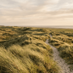 Naturreservate auf Norderney: Flora und Fauna entdecken Naturreservate auf Norderney: Flora und Fauna entdecken