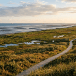 Salzwiesen und Ostende: Norderneys wilder Osten Salzwiesen und Ostende: Norderneys wilder Osten