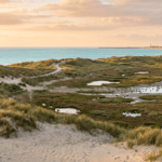 Vogelbeobachtung auf Norderney: Arten, Orte & beste Zeiten Vogelbeobachtung auf Norderney: Arten, Orte & beste Zeiten