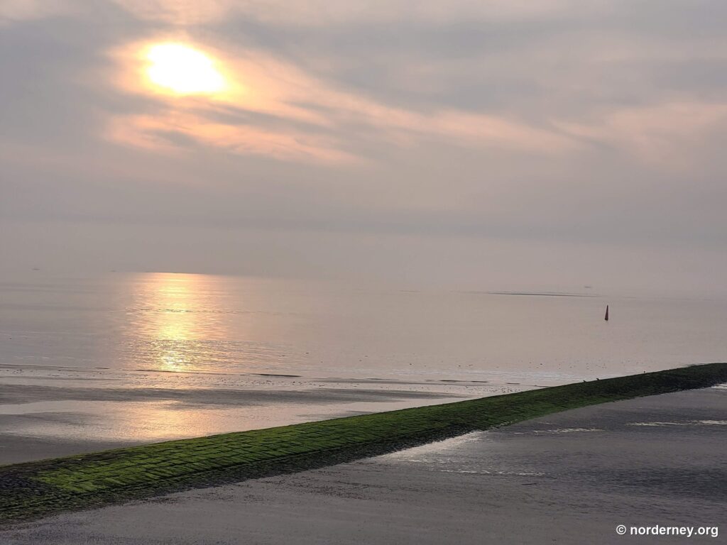 Diesige Abendsonne spiegelt sich auf dem nassen Strand neben einer Buhne