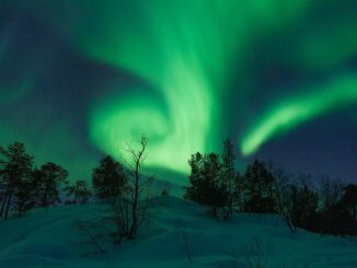 Grünes Polarlicht wirbelt über verschneitem Wald bei Inari in Finnisch-Lappland