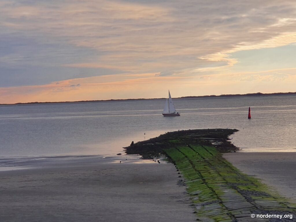 Mit Algen bewachsene Buhne bei Niedrigwasser am Strand von Norderney in Abendstimmung