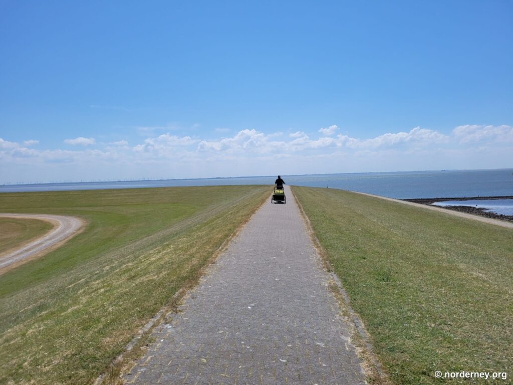 Gepflasterter Deichweg auf Norderney mit einem Radfahrer, rechts das Wattenmeer